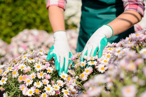 Seasonal flowers in vibrant colors