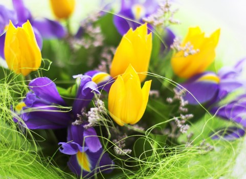 Elegant flower bouquet for special occasions