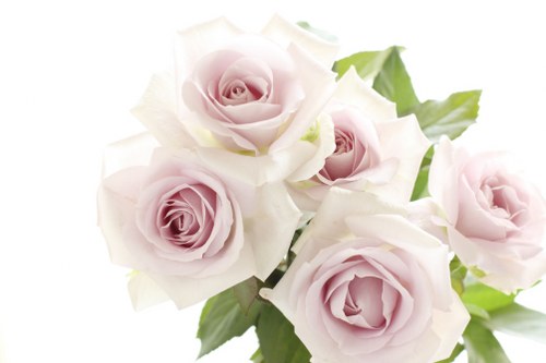 Seasonal spring flowers beautifully arranged for Mother's Day gift