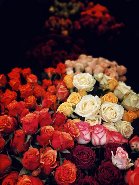 An arrangement of fresh flowers featuring pastel pink roses, blue hydrangeas, and white peonies, complemented by sprigs of purple and pink blossoms. The flowers are arranged in a cascading style, disp