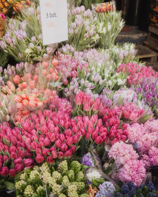 A vibrant display of fresh cut flowers including pink tulips, lilacs, and purple hyacinths arranged in neat bouquets. The flowers are wrapped in clear cellophane and presented on a floral stand, indic